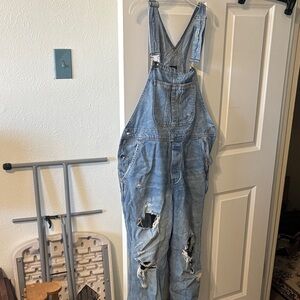 Light Wash Distressed Denim Overalls